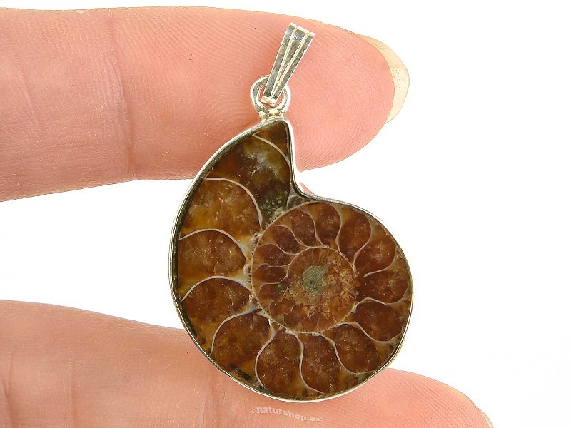 Ammonite pendant Ag 925/1000 6.4g