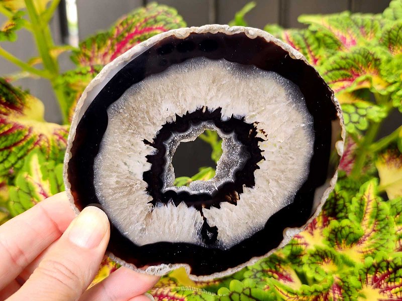 Agate polished slice with cavity from Brazil 125g