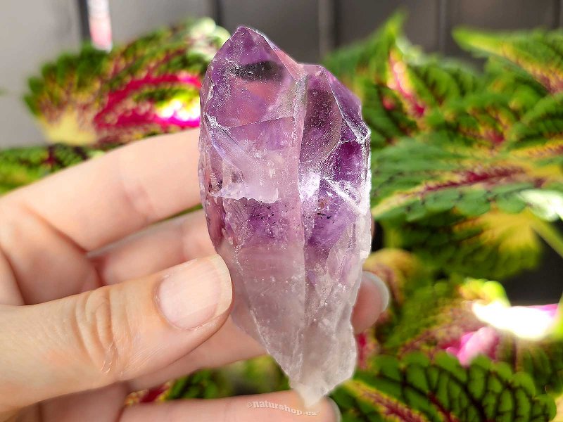 Amethyst natural crystal (81g) from Brazil