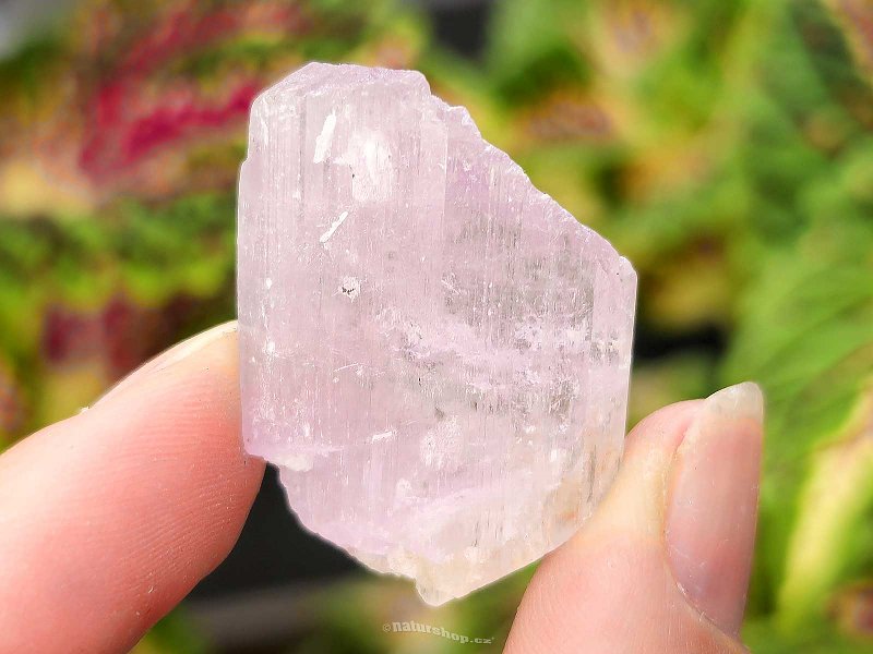 Kunzite crystal raw 13g from Pakistan