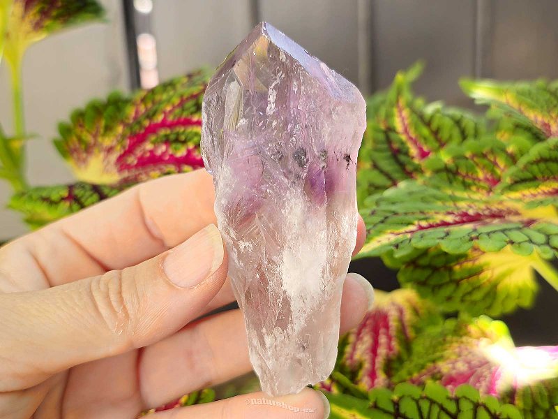 Amethyst natural crystal from Brazil (79g)