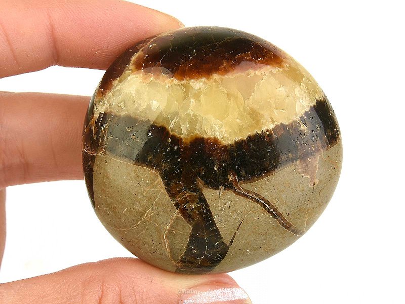 Septaria smooth stone Madagascar 91g