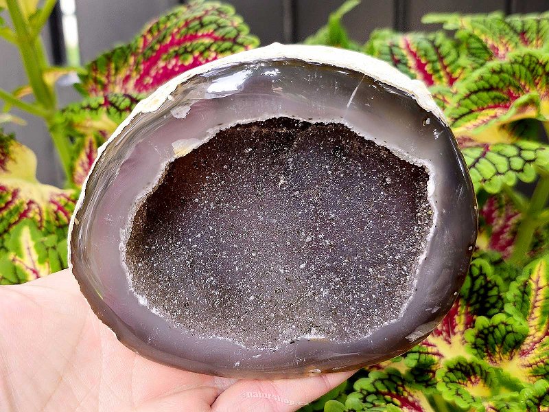 Geode agate with cavity Brazil 561g