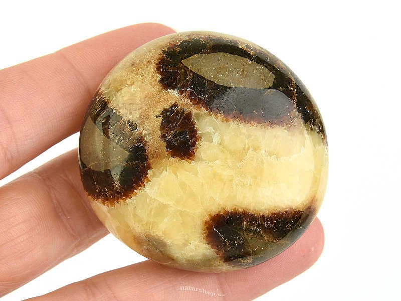 Septaria smooth stone Madagascar 79g