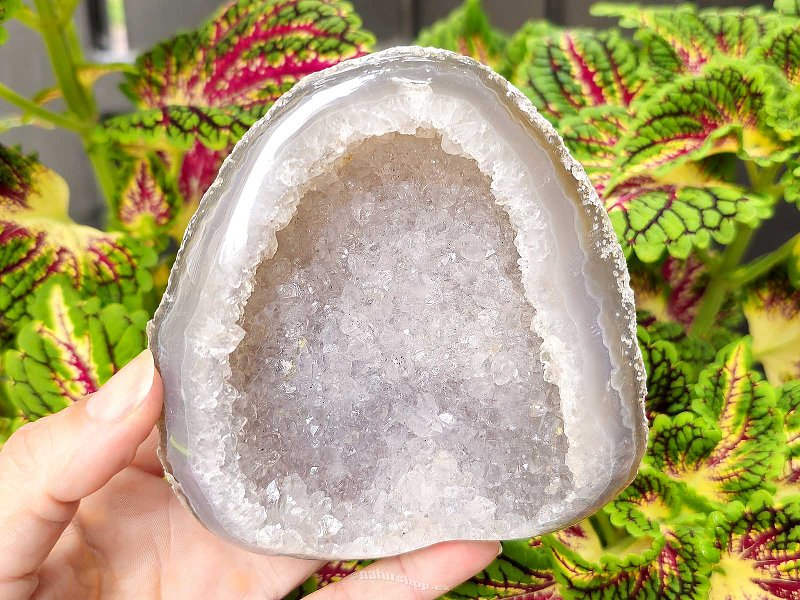 Geode agate with cavity Brazil 458g