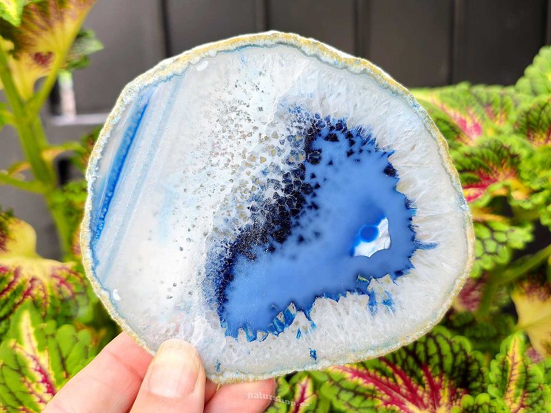 Agate polished slice from Brazil 109g