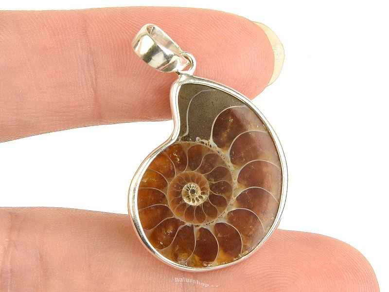 Ammonite pendant Ag 925/1000 5.1g