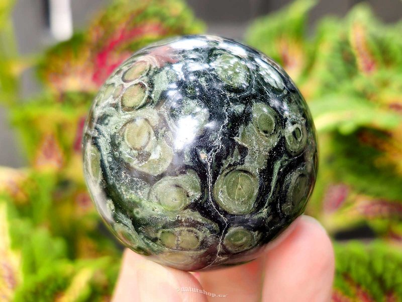 Kambaba jasper ball Ø 50mm from Madagascar