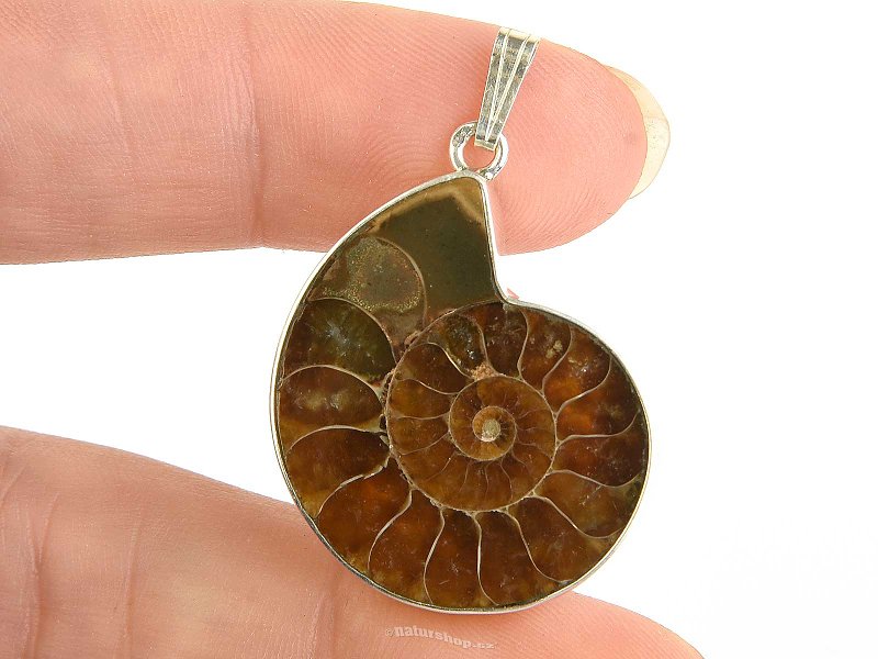 Ammonite pendant Ag 925/1000 6.9g