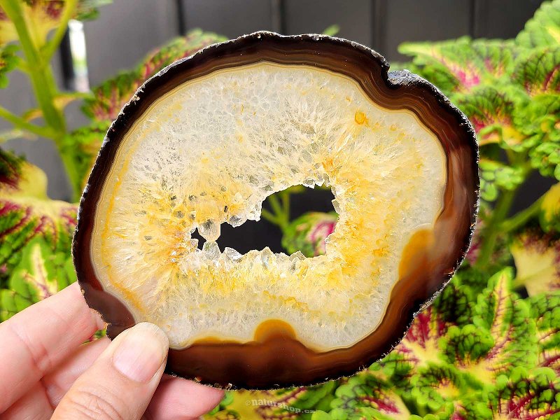 Agate polished brown slice with cavity from Brazil 119g