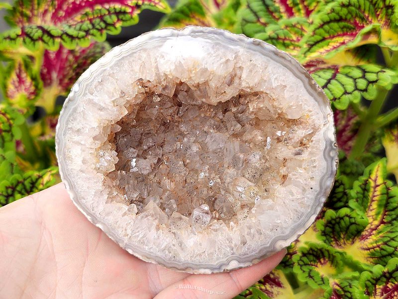 Geode agate with cavity Brazil 393g