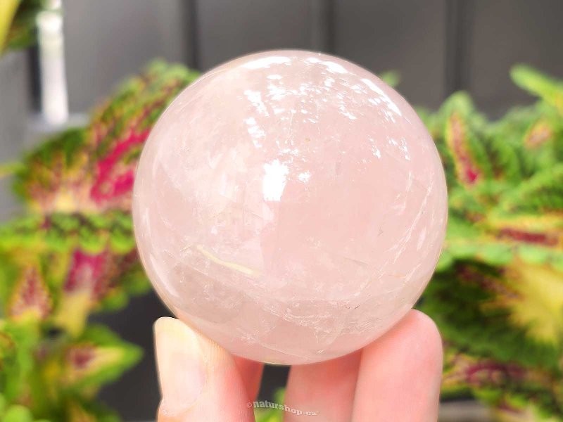 Rose quartz smooth ball Ø 56mm from Madagascar (246g)