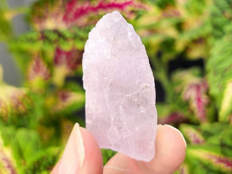 Kunzite crystal raw 22g from Pakistan