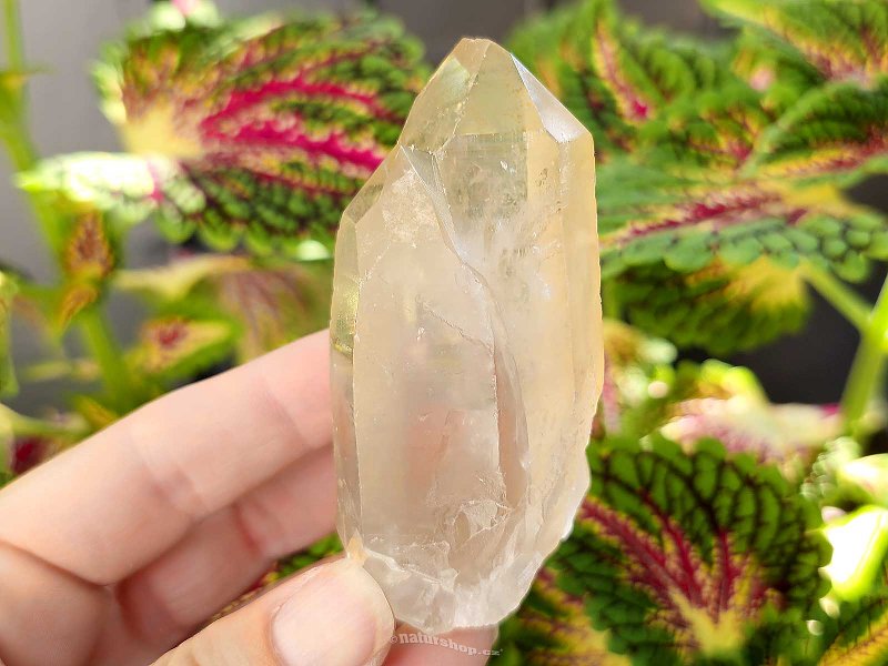 Crystal crystal double natural 131g