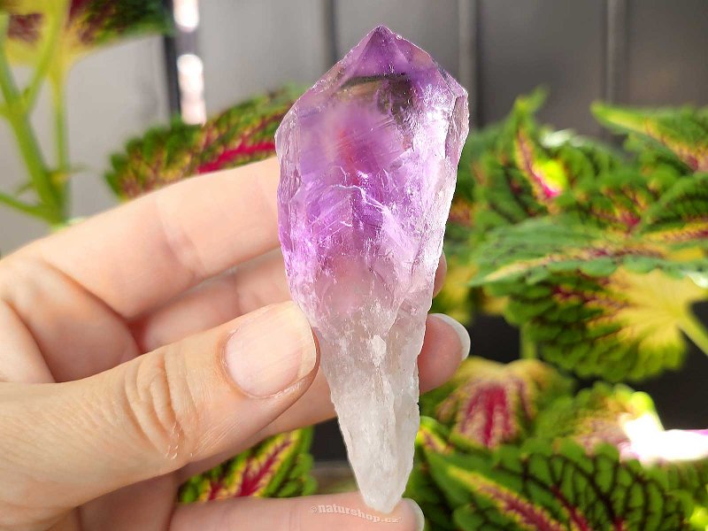 Amethyst natural crystal from Brazil 61g