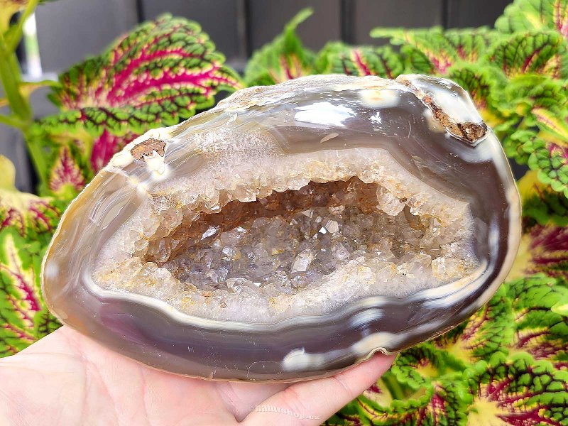 Geode agate large with cavity Brazil 974g