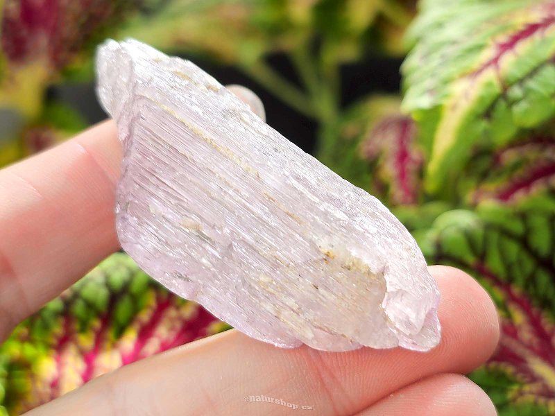 Kunzite crystal raw 29g from Pakistan