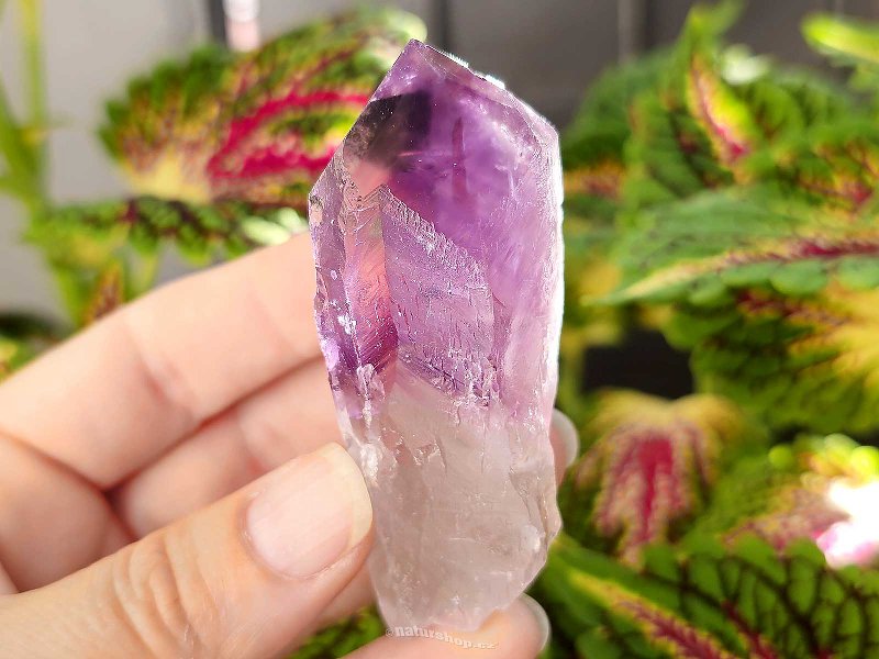 Amethyst natural crystal 79g from Brazil