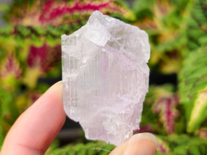 Kunzite crystal raw 39g from Pakistan