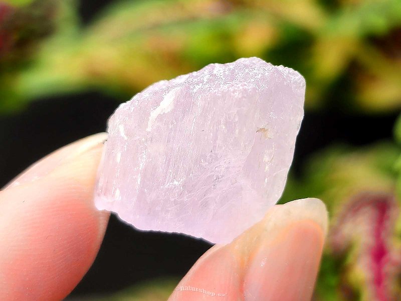 Kunzite crystal raw 7.1g from Pakistan