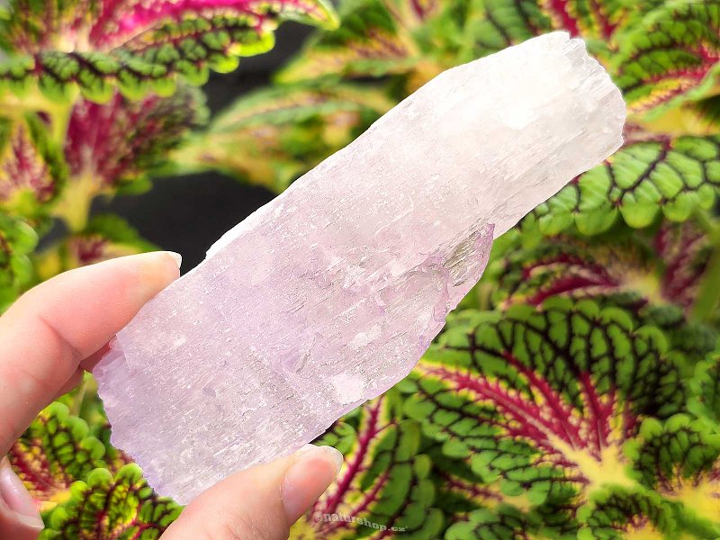 Kunzite crystal raw 134g from Pakistan