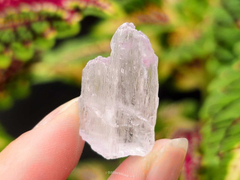 Kunzite crystal raw 7.9g from Pakistan