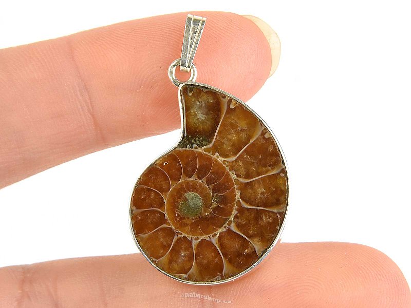 Ammonite pendant Ag 925/1000 6.2g