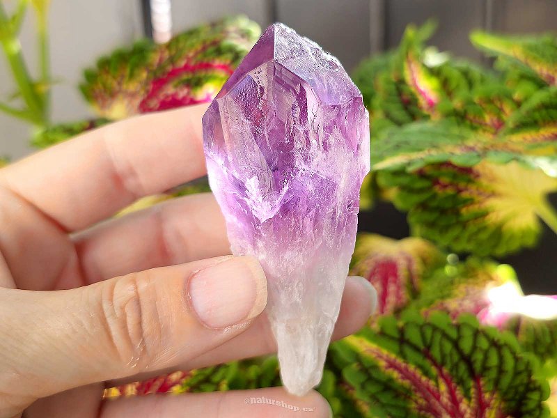 Amethyst natural crystal (67g) from Brazil