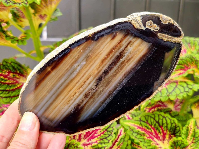 Polished agate slice from Brazil 143g