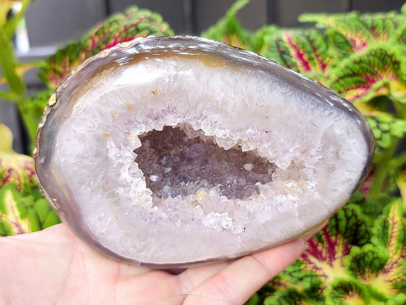 Geode agate with cavity Brazil 729g