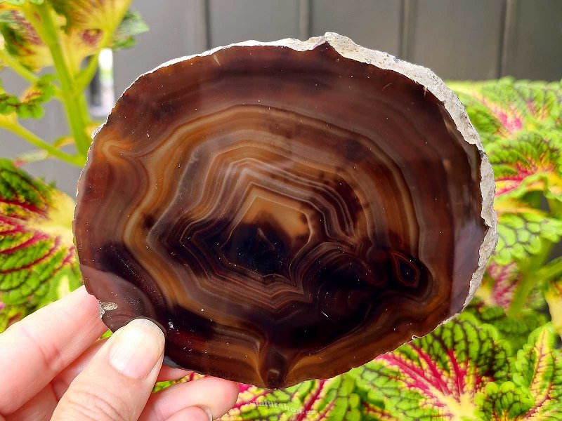 Polished agate slice from Brazil 183g