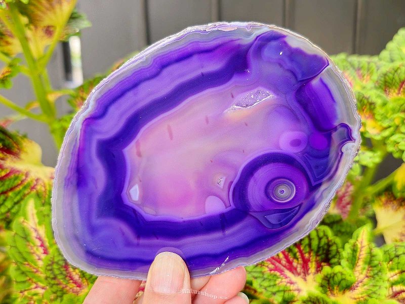 Polished agate slice with core from Brazil 147g