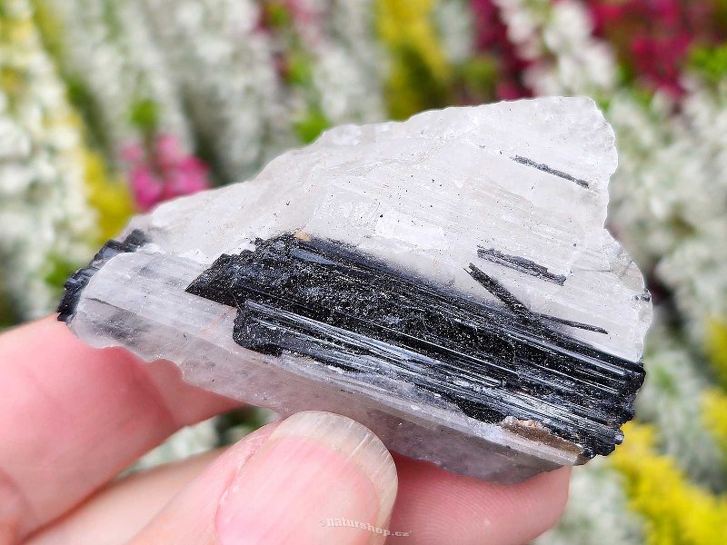 Black tourmaline in natural crystal (Brazil) 34g