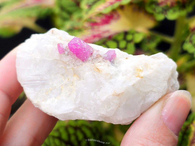 Ruby crystal in mother rock 75g India