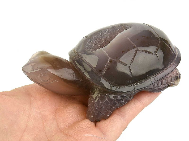 Agate turtle with cavity 297g