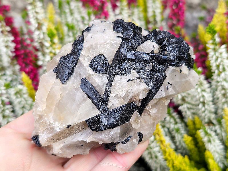 Black tourmaline in natural crystal (Brazil) 307g