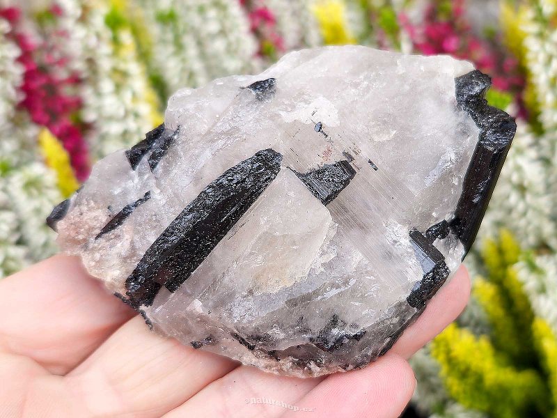 Black tourmaline in natural crystal (Brazil) 164g