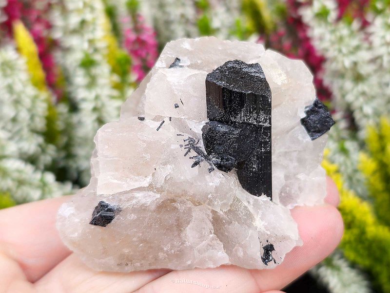 Black tourmaline crystals in natural crystal (Brazil) 129g