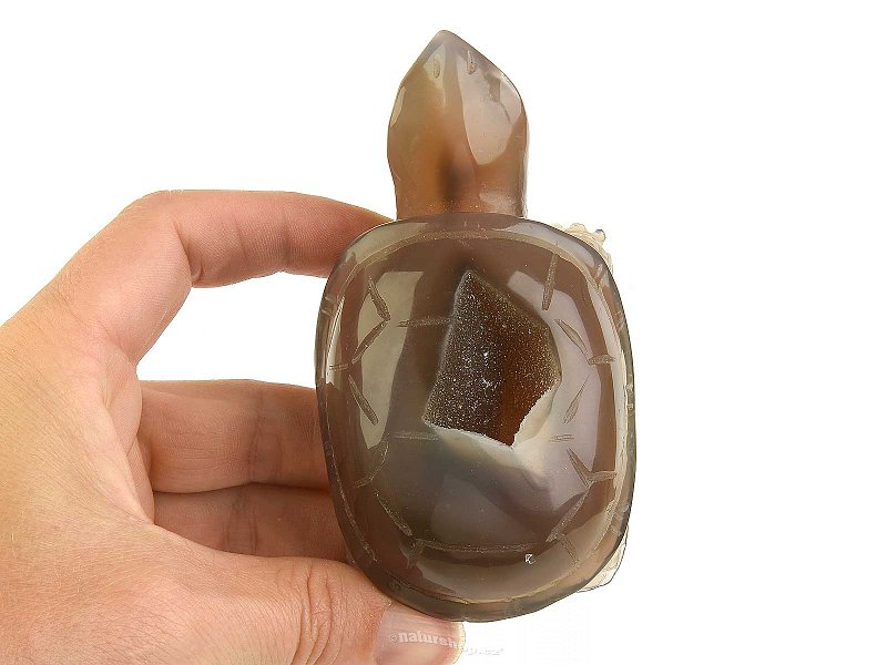 Agate turtle with cavity 239g