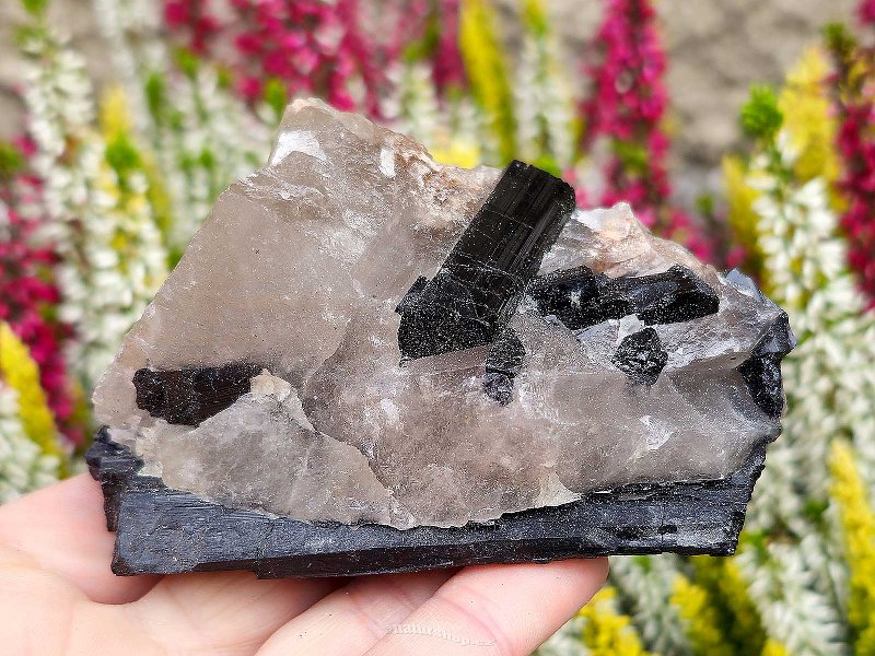 Black tourmaline in natural crystal (Brazil) 238g