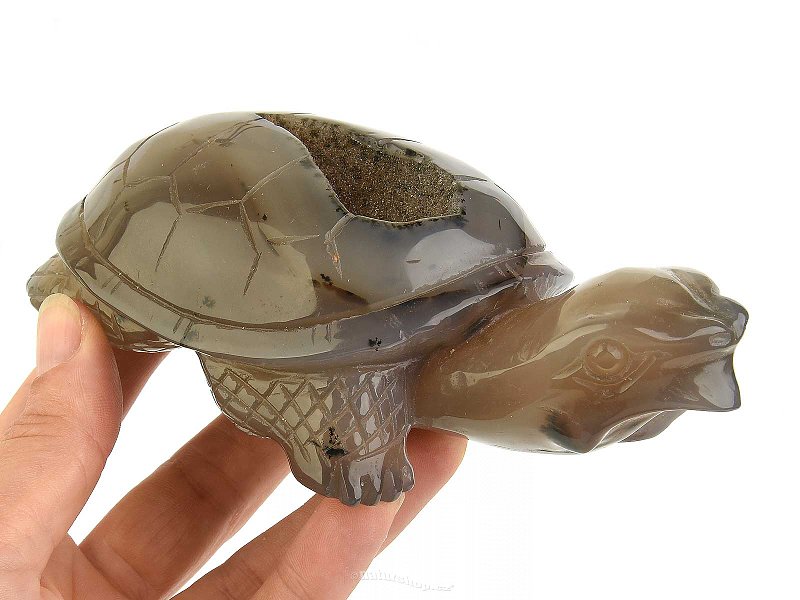 Agate turtle with cavity 543g