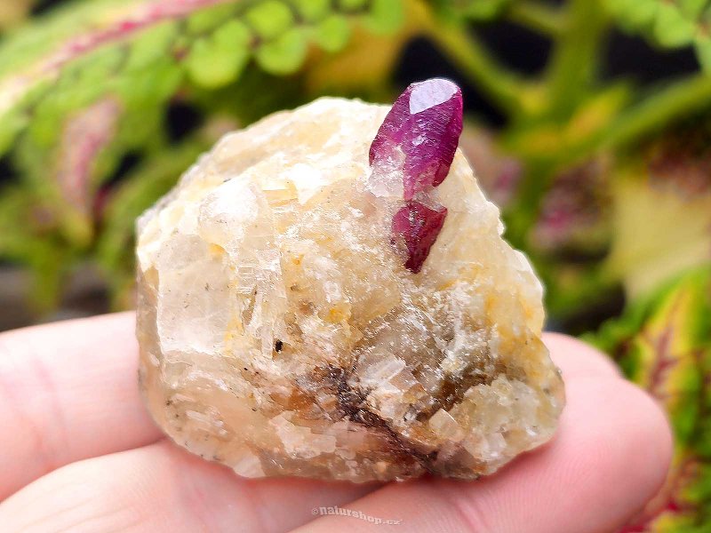 Ruby crystal in mother rock 60g India