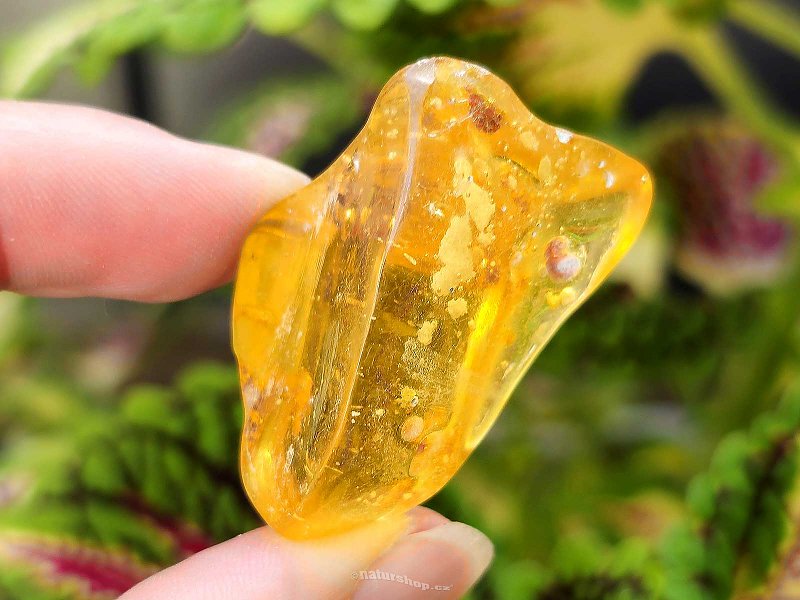 Copal (young amber) from Colombia 7.9g