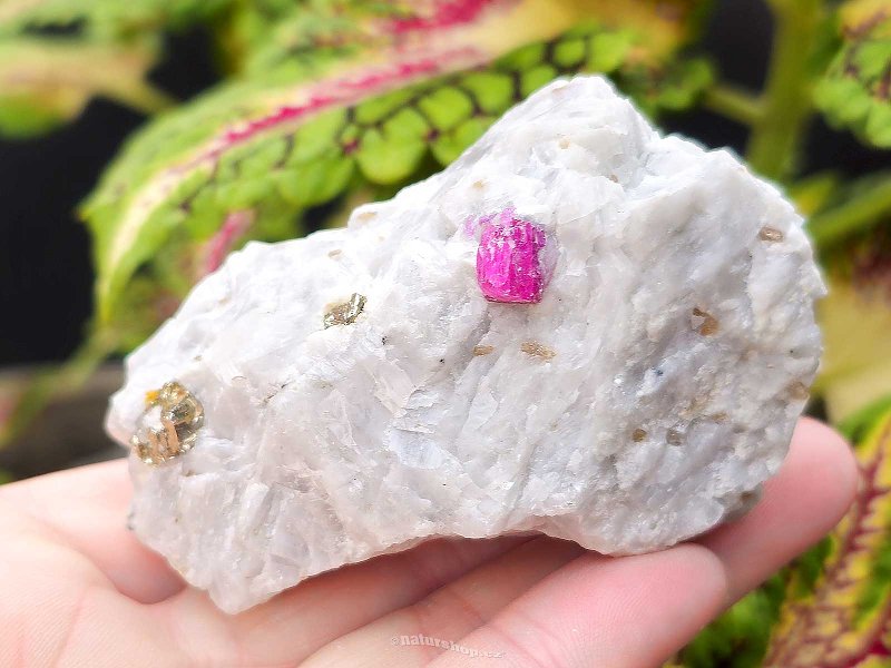 Ruby and pyrite crystal in mother rock 109g India