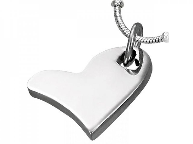 Stainless steel pendant RPS010