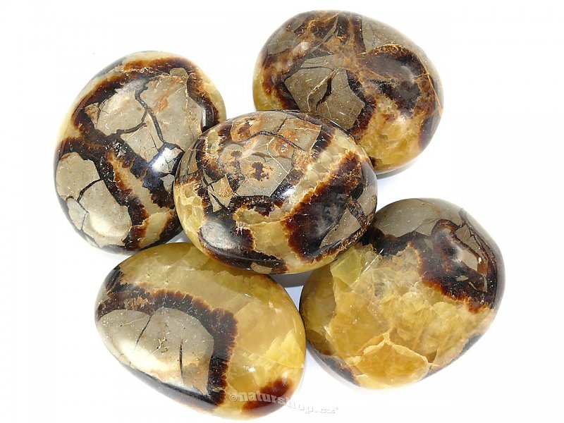Septarie stones Jumbo (Madagascar)