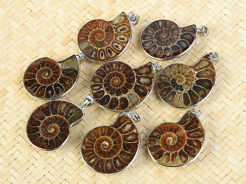 Ammonite pendant larger Bižu