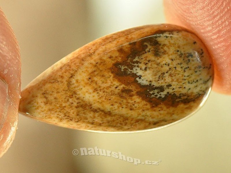 Šperková mugle z jaspisu obrázkového kapka 21x11mm (mugle020)