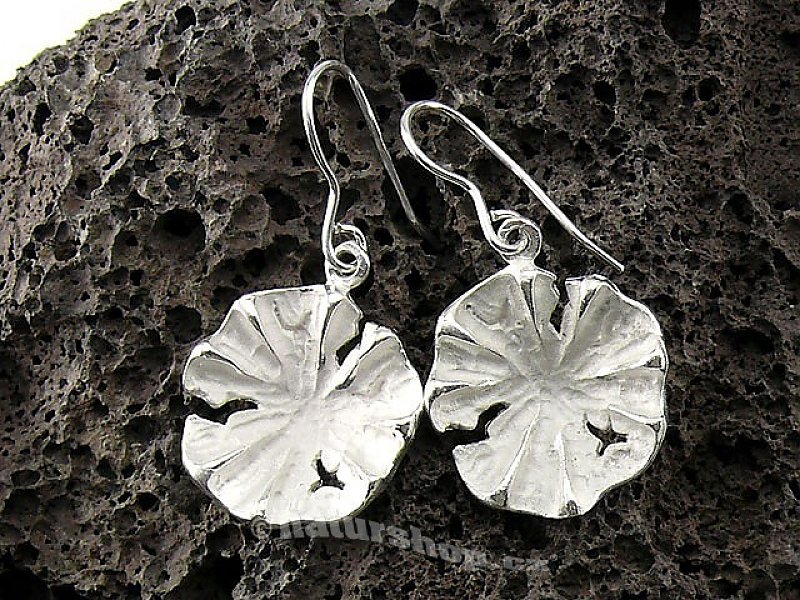 Collection Botanic silver earrings 925/1000 Morning Glory