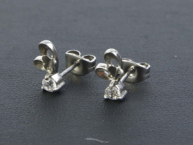 Earrings Stainless Steel with Zircon REB029